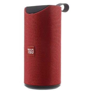 تصویر  اسپیکر بلوتوثی قابل حمل تی اند جی مدل Tg-113